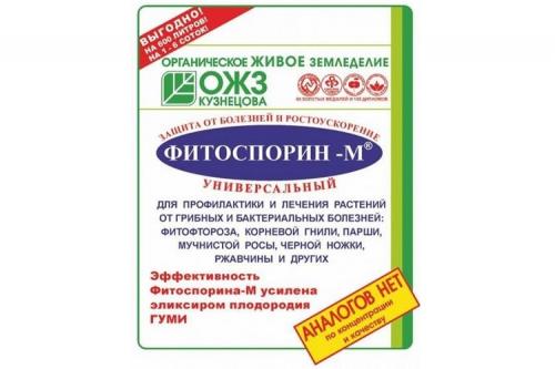 Супер смесь против фитофторы на помидорах. 5 препаратов от фитофторы, которые реально работают