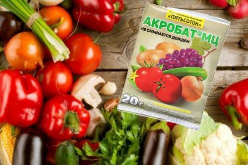 Химия от фитофторы. Лучшие препараты от фитофторы для разных плодовых культур