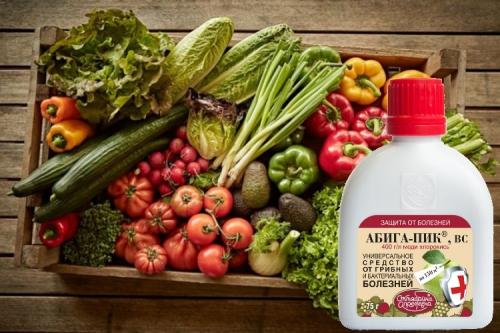 Химия от фитофторы. Лучшие препараты от фитофторы для разных плодовых культур