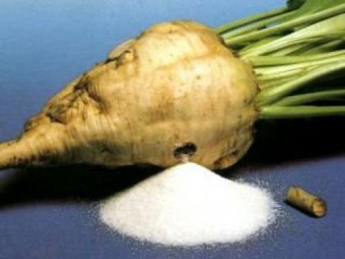 Как сделать сахар в домашних условиях. Как сделать сахар дома