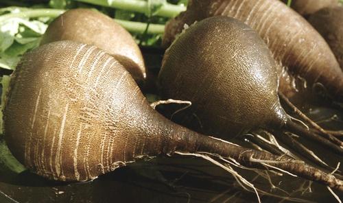 Как сделать сахар в домашних условиях. Как сделать сахар дома