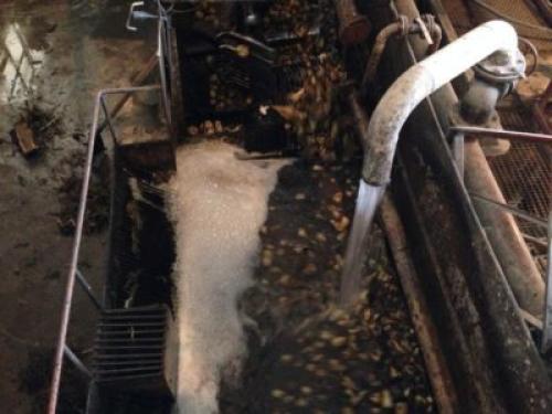 Сахар из сахарной свеклы. Из чего делают сахар?