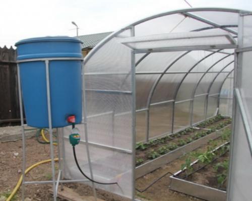 Автоматический полив в теплице. Особенности устройства автополива для теплицы: принцип действия, плюсы и минусы