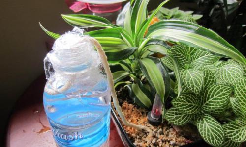 Как своими руками сделать автополив на даче. Прикорневое орошение 20 Как своими руками сделать автополив на даче. Прикорневое орошение 20