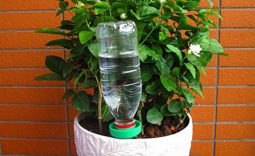 Как своими руками сделать автополив на даче. Прикорневое орошение 19 Как своими руками сделать автополив на даче. Прикорневое орошение 19