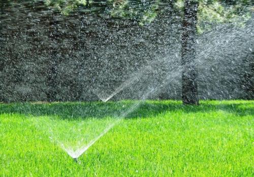 Как сделать полив на участке. Полив участка: проектирование, сборка и монтаж системы автоматического полива (130 фото)