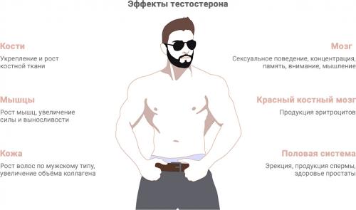 Основные принципы для поддержания мужского здоровья: 6 важных правил 02 Основные принципы для поддержания мужского здоровья: 6 важных правил 02