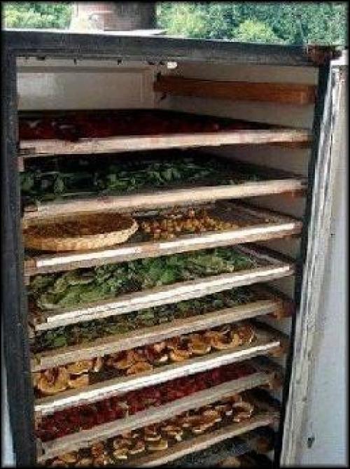 Инфракрасный сушильный шкаф своими руками. Делаем электросушилку для овощей и фруктов своими руками