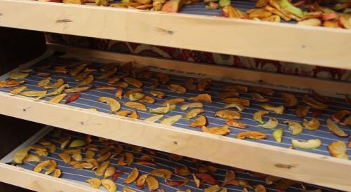 Сушилка для овощей и фруктов на дровах своими руками. Дешево и сердито: эффективная сушилка для фруктов и овощей своими руками