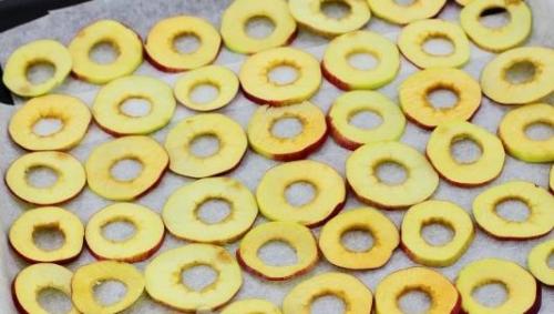 Как сделать сушилку для яблок над газовой плитой. Как сушить яблоки на зиму в духовке газовой плиты