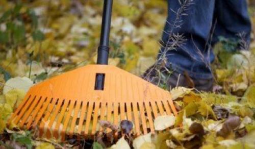 Как я готовлю свои груши к зимовке и собираю отличные урожаи. Выбор места 03