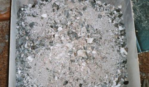 Как я готовлю свои груши к зимовке и собираю отличные урожаи. Выбор места 07