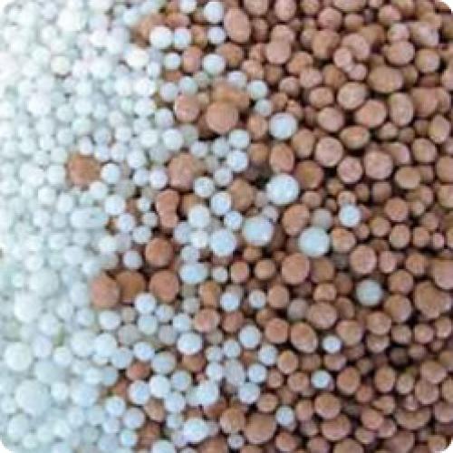 Какие виды ухода необходимы для винограда в начале весны