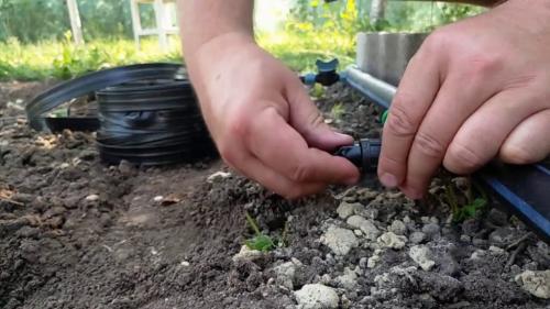 Виды капельного полива. Виды капельных лент