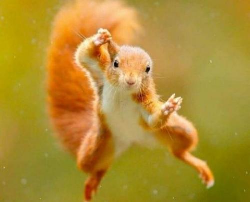 Что делаю в ноябре. Список дел на ноябрь: ТОП 10 советов, как провести время осенью 03