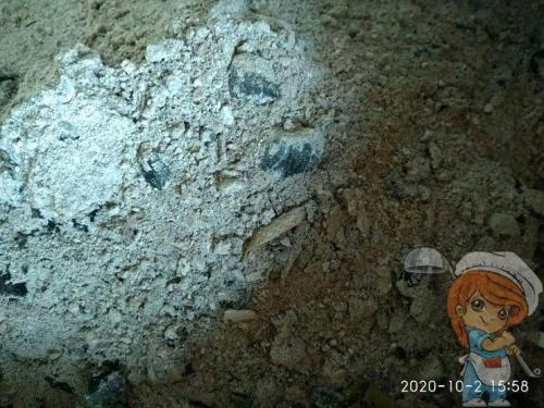 Как сохранить на зиму морковь и свеклу. 7 советов по хранению свеклы и моркови в квартире без погреба. Хранение без хлопот для тех, кто хочет сберечь домашний урожай до весны!