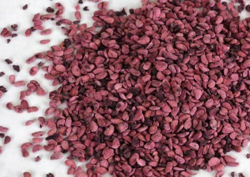 Размножение ремонтантной малины весной черенками. Методика разведения ремонтантной малины