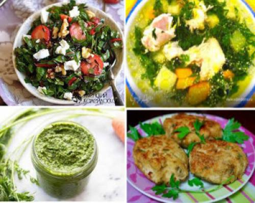 Как выбрасывание половиной моркови может помочь выживанию. Ботва моркови: можно ли её есть и главное –, как?