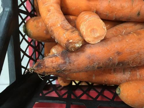 Какие последствия может иметь выбрасывание половиной моркови до весны. Прошлогодняя морковь в магазине — это позволительно или возмутительно?