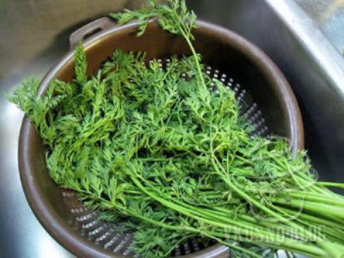 Как выбрасывание половиной моркови может помочь выживанию. Ботва моркови: можно ли её есть и главное –, как?