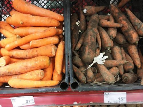 Какие последствия может иметь выбрасывание половиной моркови до весны. Прошлогодняя морковь в магазине — это позволительно или возмутительно?
