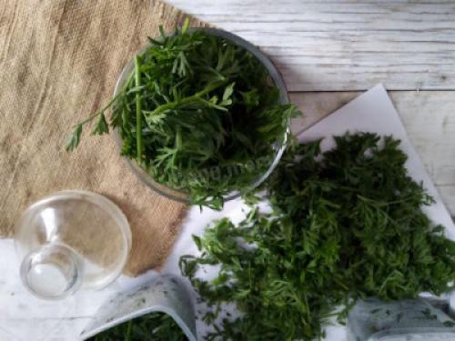 Как выбрасывание половиной моркови может помочь выживанию. Ботва моркови: можно ли её есть и главное –, как?