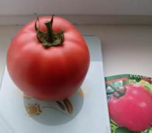 Какие свойства имеет томат малиновое чудо