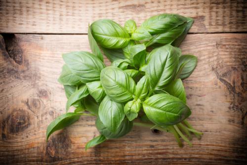 Вкусные блюда с сушеным базиликом: рецепты и советы 16 Вкусные блюда с сушеным базиликом: рецепты и советы 16