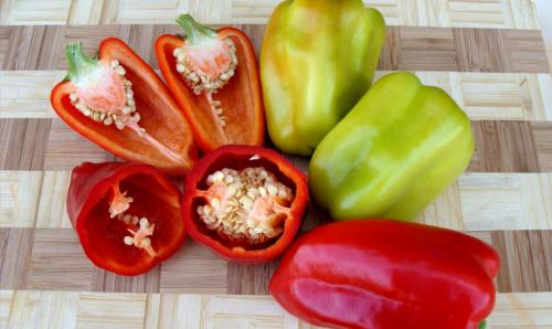 Перец чили: от семян до плодов 06 Перец чили: от семян до плодов 06