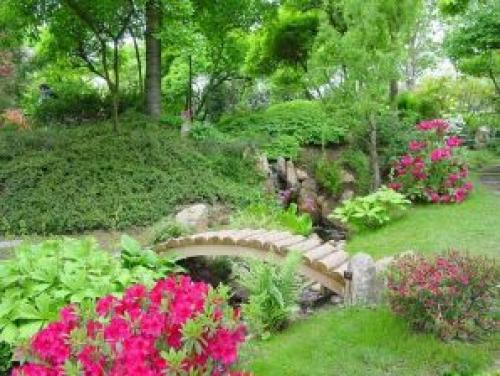 Календарь ухода за виноградом: основные этапы и рекомендации 05 Календарь ухода за виноградом: основные этапы и рекомендации 05