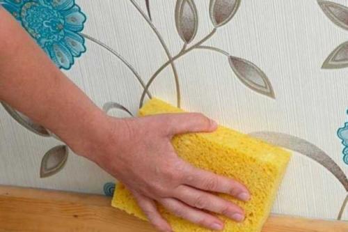 БОРНАЯ кислота, применение в быту. 7 способов использования борной кислоты в быту