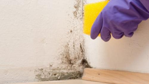 БОРНАЯ кислота, применение в быту. 7 способов использования борной кислоты в быту