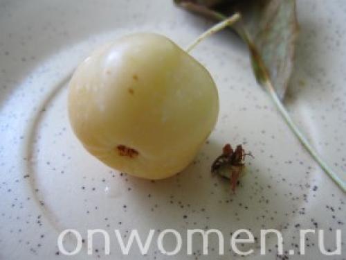 Райские яблоки вяленые. Цукаты из райских яблочек: пошаговый рецепт с фото