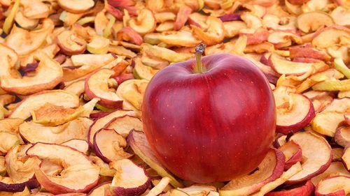 Как сушить яблоки в микроволновке в домашних условиях