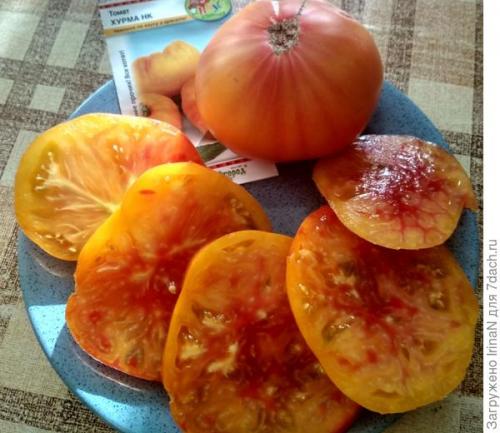 Томат хурма от какой фирмы лучше. Подведём итоги в конце дороги: Томат 'Хурма НК'