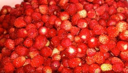 Что делать с земляникой на зиму. 6 лучших способов, как можно сохранить на зиму землянику без варки