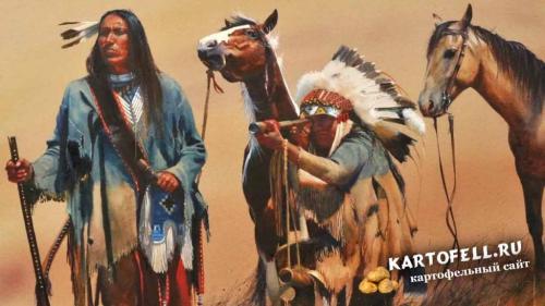 Откуда привезли картошку. Где родина картофеля?