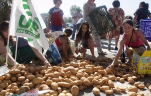 Кто открыл картофель. Откуда пошел картофель