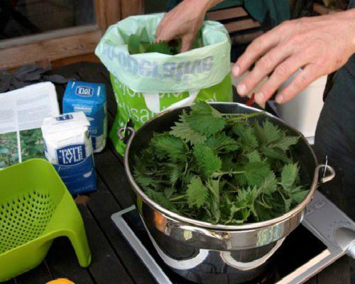 Суперфосфат для клубники осенью. Органические удобрения