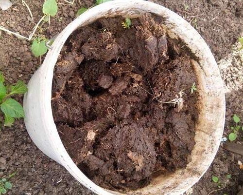 Суперфосфат для клубники осенью. Органические удобрения