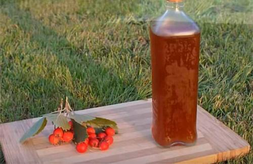 Заморозка боярышника на зиму. Боярышник — 7 идеальных способов приготовления заготовки на зиму