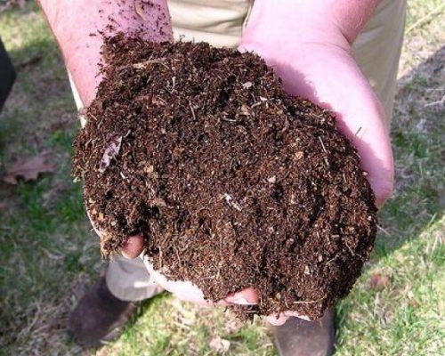 Суперфосфат для клубники осенью. Органические удобрения