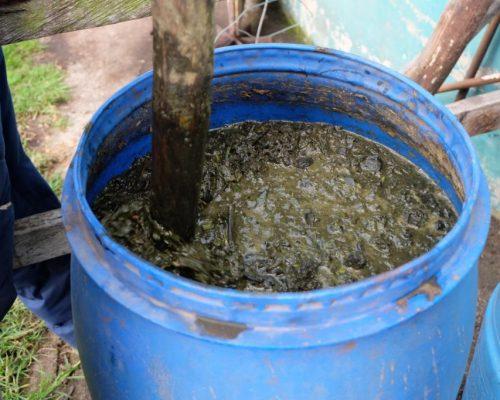 Суперфосфат для клубники осенью. Органические удобрения