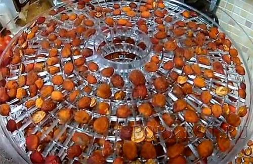 Заморозка боярышника на зиму. Боярышник — 7 идеальных способов приготовления заготовки на зиму