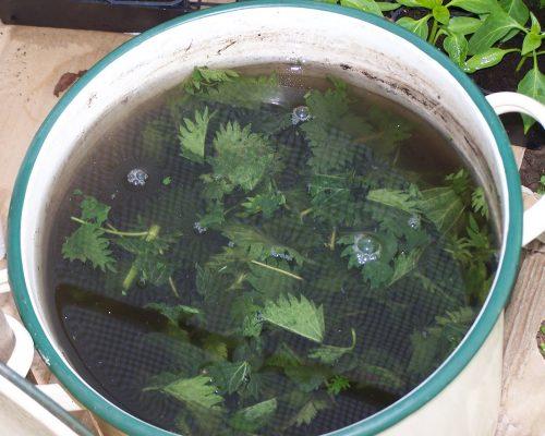 Суперфосфат для клубники осенью. Органические удобрения