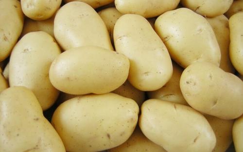 Элитные сорта картофеля. Самые ранние сорта картофеля