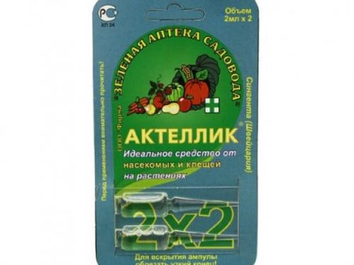Обработка клубники осенью от болезней и вредителей. Средства от вредителей