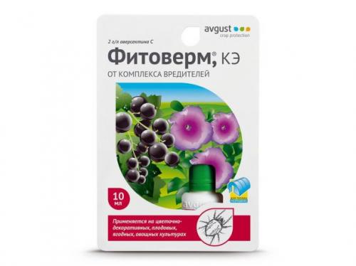 Обработка клубники осенью от болезней и вредителей. Средства от вредителей