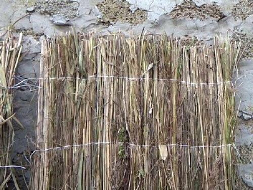 Как подготовить клубнику к зиме в сибири. Как укрывать клубнику на зиму правильно и когда это лучше делать