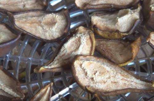 Какие варианты приготовления сухофруктов из груш существуют. Как сушить груши в домашних условиях: 7 способов